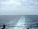 9808_04.jpg
