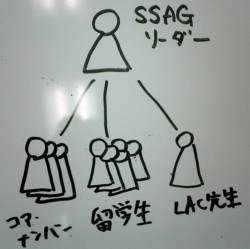 fig1.jpg